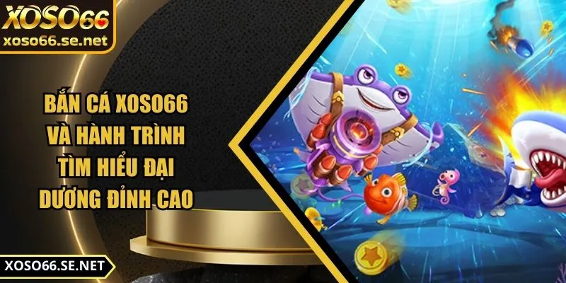 ban-ca-xoso66-anh-dai-dien