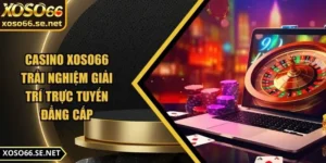 casino-xoso66-anh-dai-dien