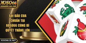 soi-bau-cua-chuan