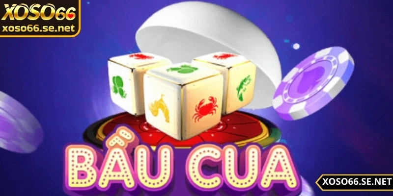 soi-bau-cua-chuan-mang-lai-trai-nghiem-thang-lon