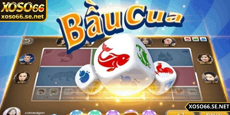 soi-bau-cua-chuan-phan-tich-ket-qua