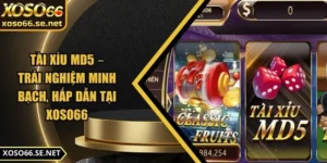 tai-xiu-md5-anh-dai-dien