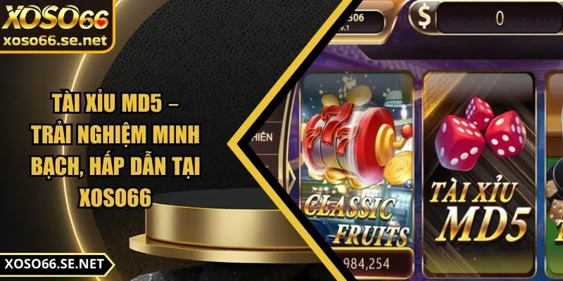 tai-xiu-md5-anh-dai-dien